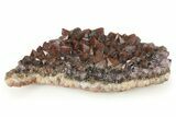Thunder Bay Amethyst Cluster with Hematite - Canada #281235-1